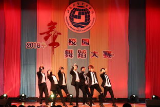 第十五屆大學(xué)生文化藝術(shù)節(jié)“舞動(dòng)山外”舞蹈大賽圓滿(mǎn)落幕